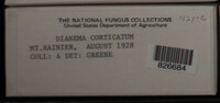 Image Associated With the Occurence